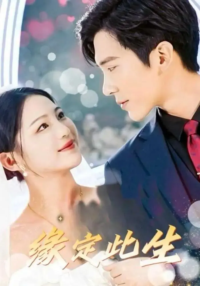 穿越时空的爱恋：《缘定此生》影评：一场关于宿命与选择的浪漫史诗