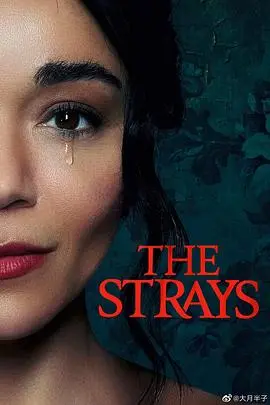 《流浪者The Strays》：中产噩梦的黑色童话，被隐藏的过去反噬！